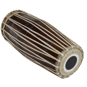 Mridangam2